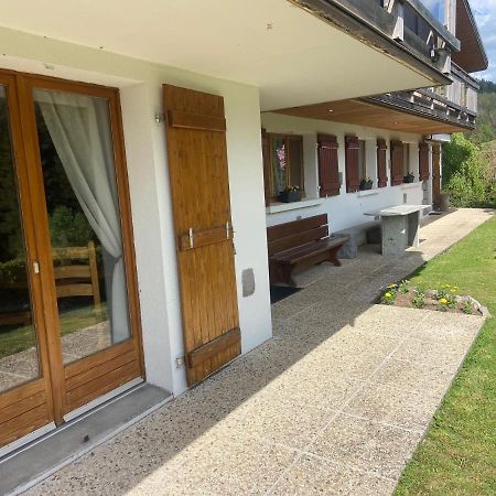 Appartement De Montagne Au Chalet De Snow Xonrupt-Longemer Exterior foto